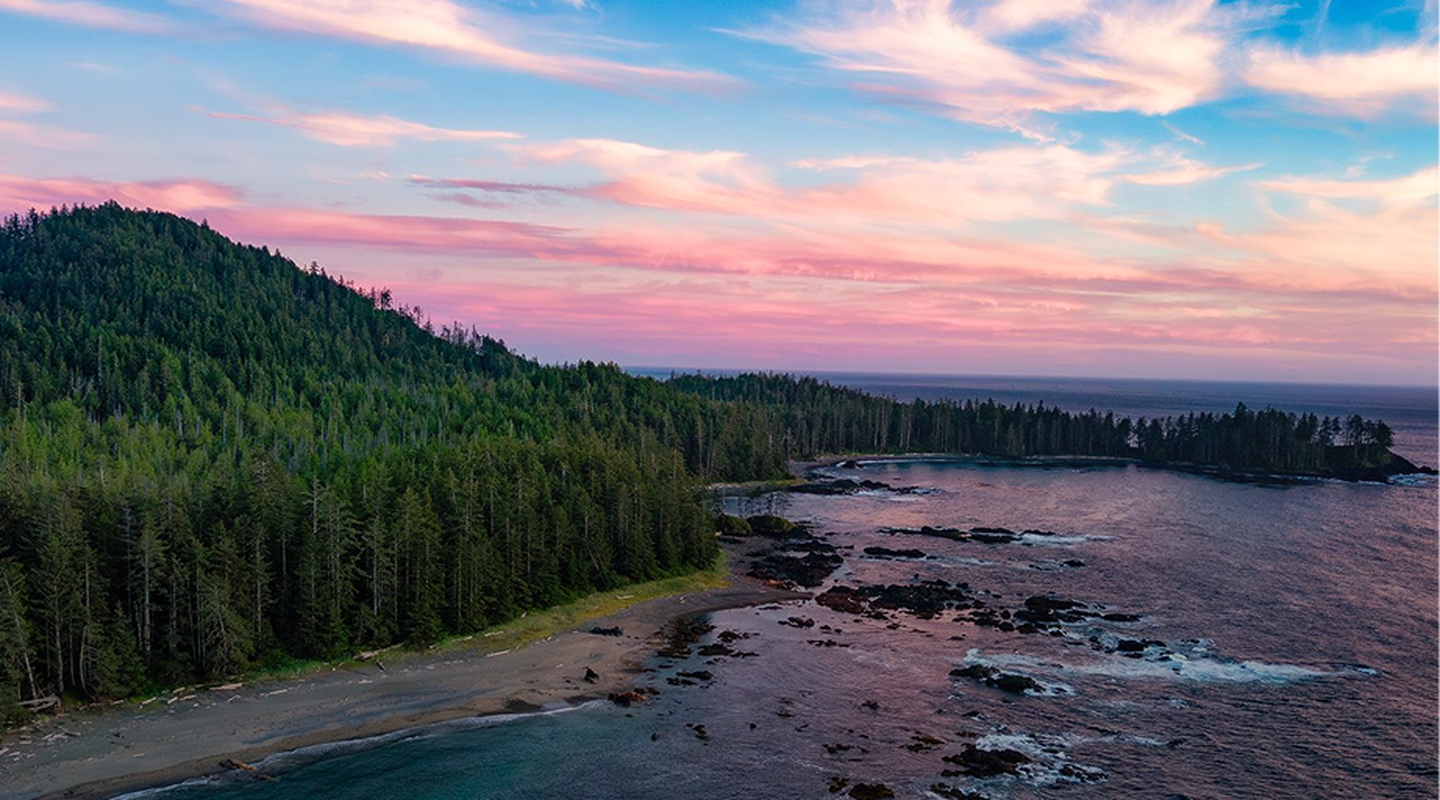 A mountain, forest and river landscape