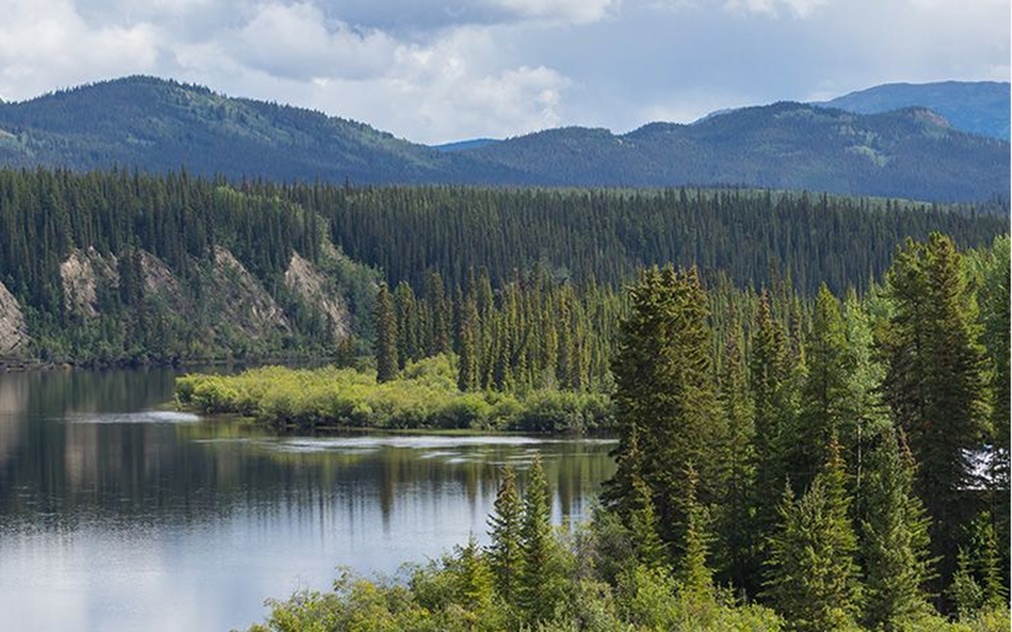 a mountain, river and forest landscape
