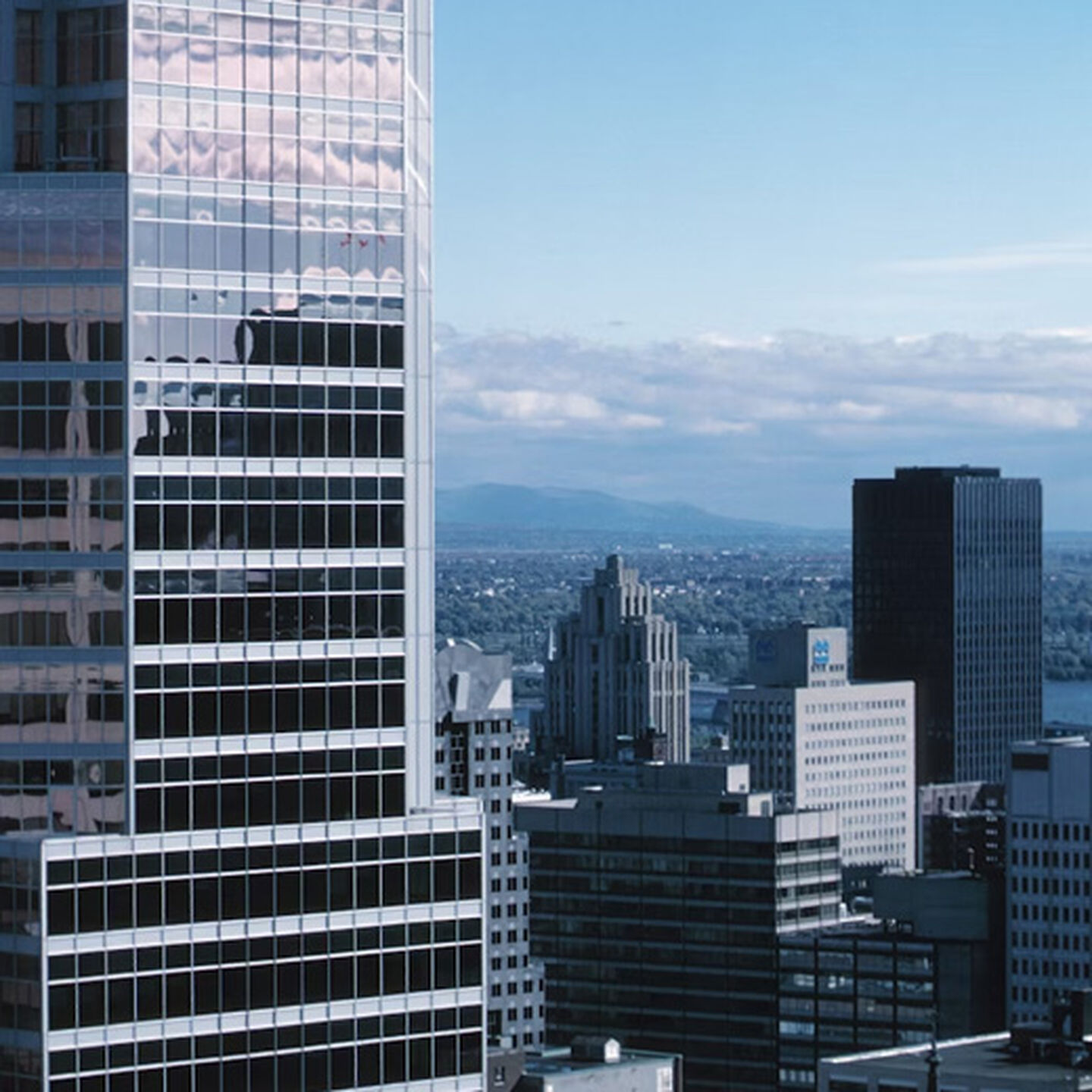 tall corporate builidings overlook a city