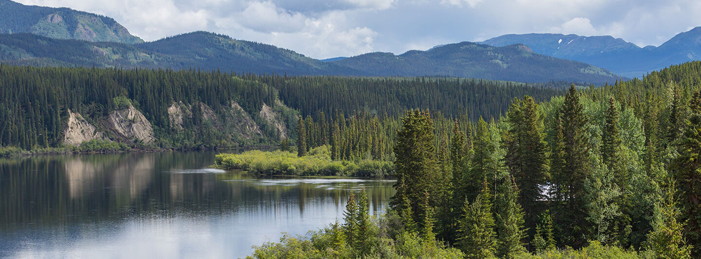 <h4><strong>Impact and Sustainability</strong></h4>