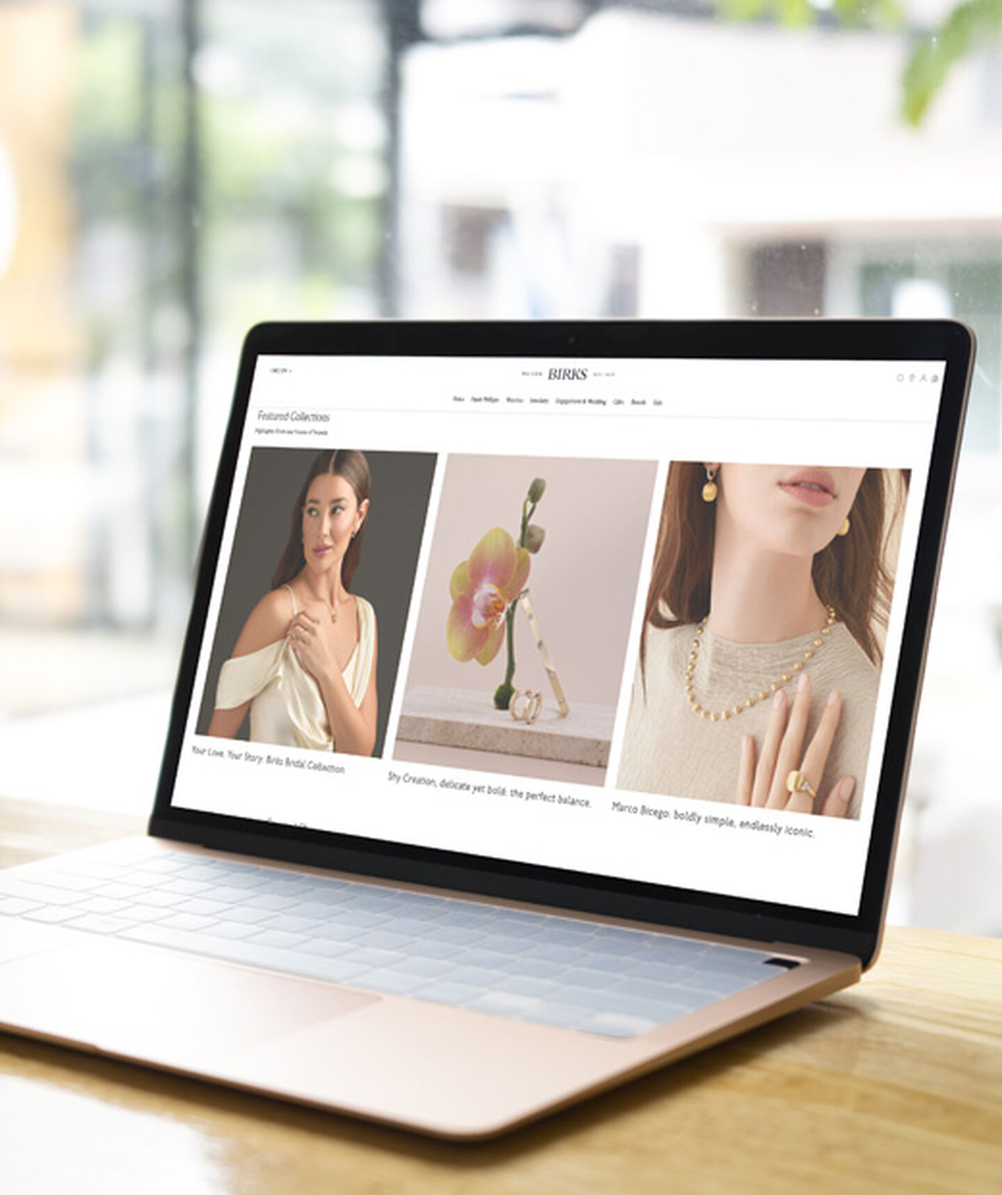 Maison Birks Website mockup